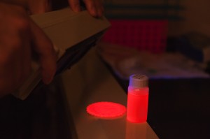 LED light emitted basing on nano technology