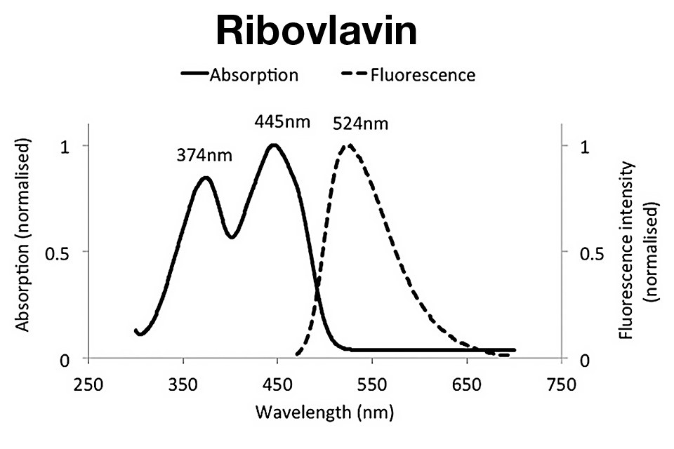 Graf absorpčního spektra riboflavinu